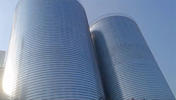 瑶海2座混凝土高架卷板仓